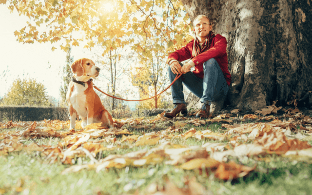 Man walks with dog in sunny autumn park