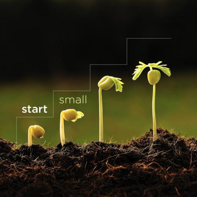 Four little plant seedlings in different stages of growth. The one on the left has just started growing while the one on the right has a couple leaves. Text says: "start small"