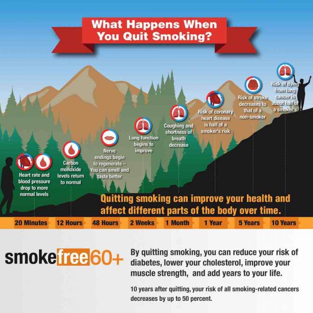 An image of a timeline from 20 minutes to 10 years titled, "What happens when you quit smoking?" advertising Smokefree 60+. Captions include, "By quitting smoking, you can reduce your risk of diabetes, lower your cholesterol, improve your muscle strencth, and add years to your life. 10 years after quitting, your risk of all smoking-related cancers decreases by up to 50 percent."